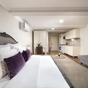 Meroddi Galata Flats شقة اسطنبول